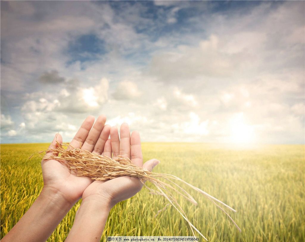 聯合國糧農組織發布糧食危機警告？糧食危機要來了嗎？